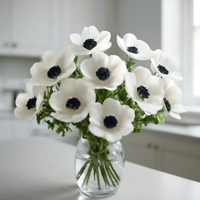 Anémone – classique – image 3