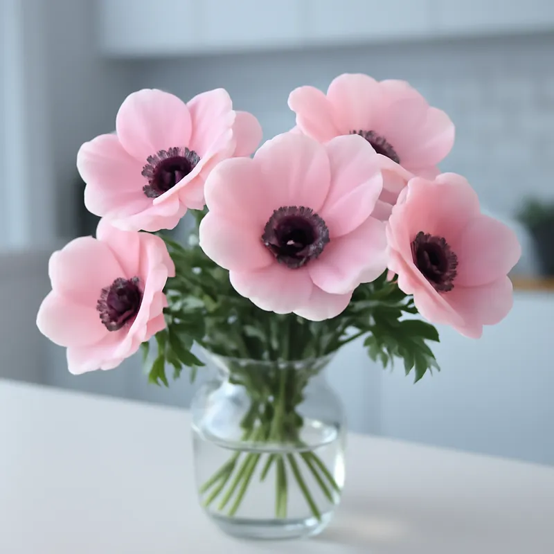 Anémone – rose – image 3