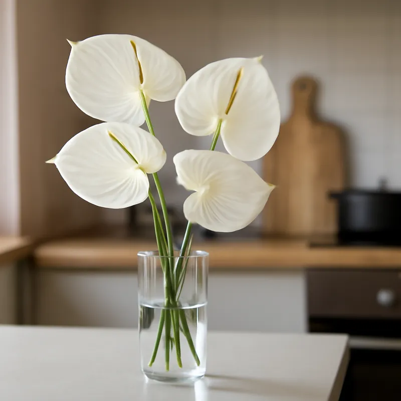 Anthurium (fleur flamant) – blanc – image 3