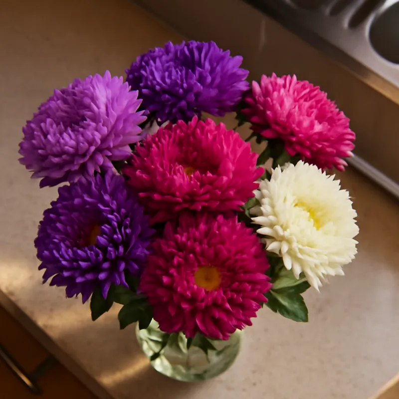 Aster d'été – classique – image 3