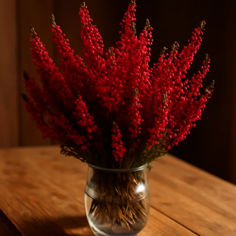 Bruyère - rouge - image 3