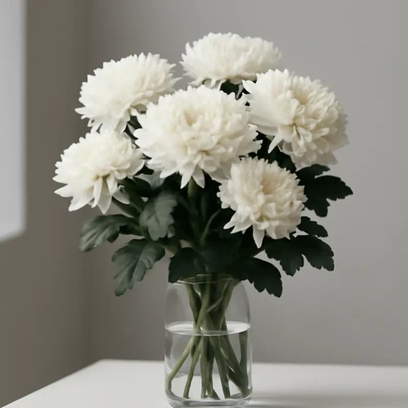 Chrysanthème – classique – image 3