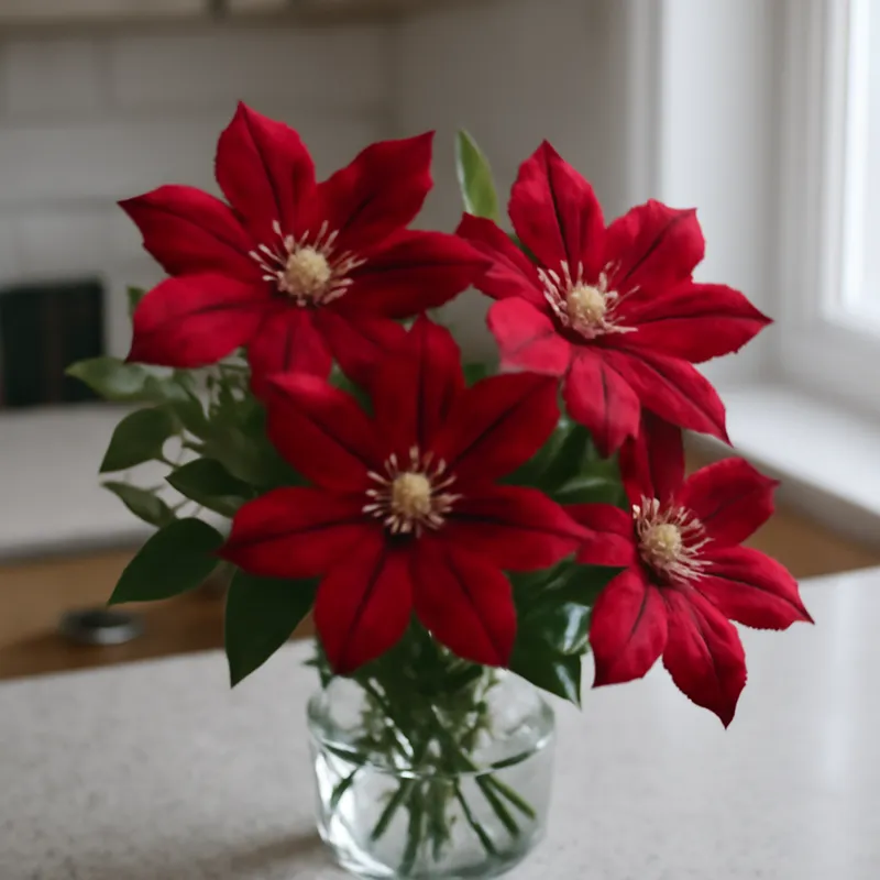 Clématite – rouge – image 3