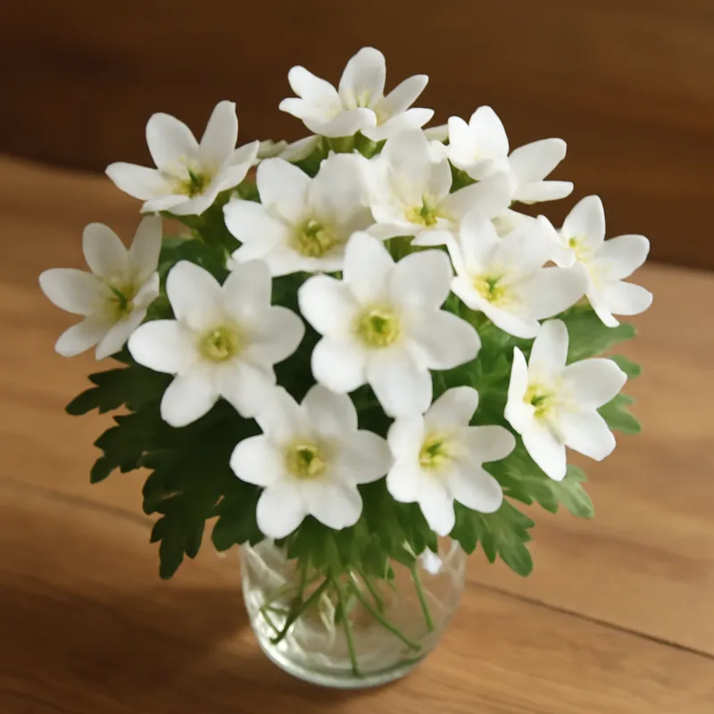 Hépatique – blanc – image 3
