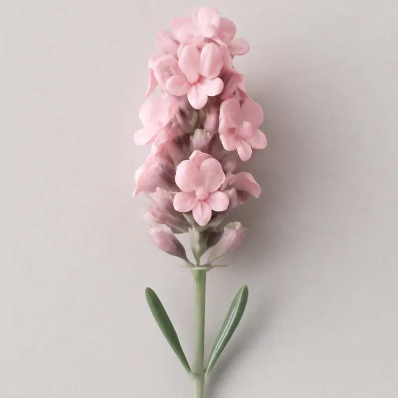 Lavande – rose – image 1