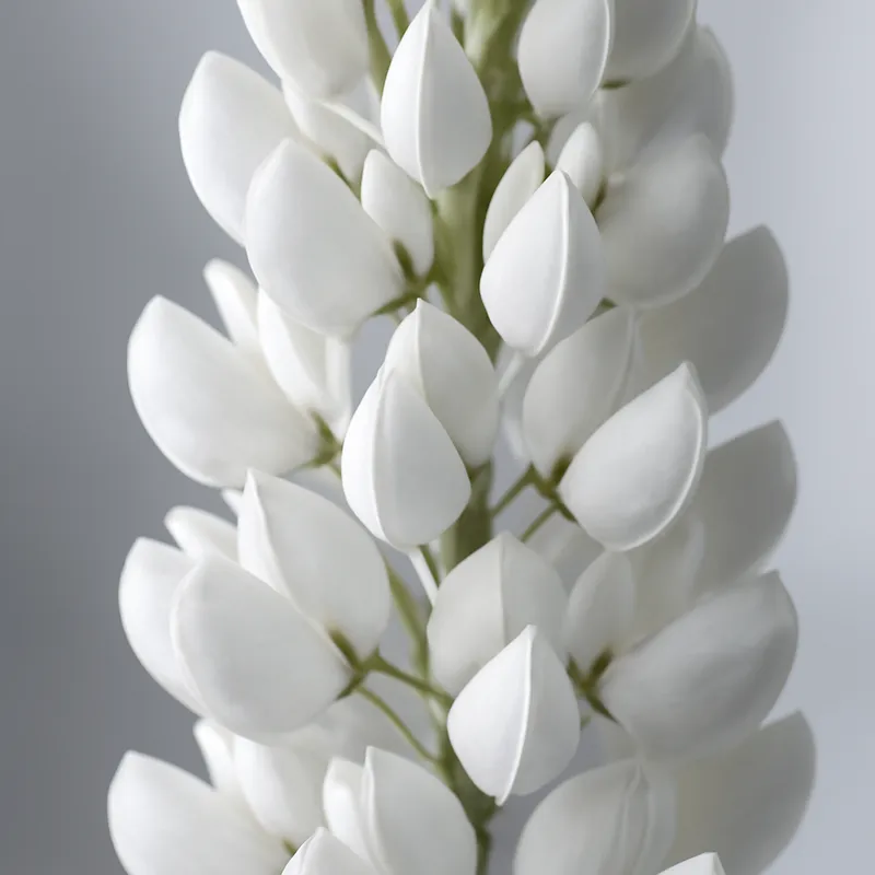 Lupin – blanc – image 2