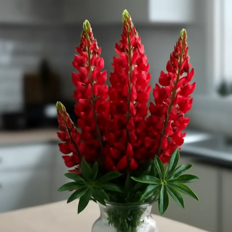 Lupin – rouge – image 3