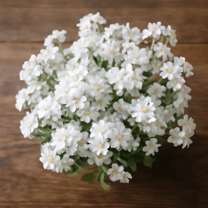 Myosotis - blanc - image 3