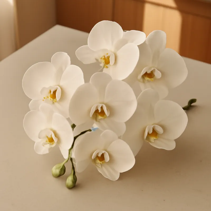 Orchidée (orchidée de mariée) – classique – image 3