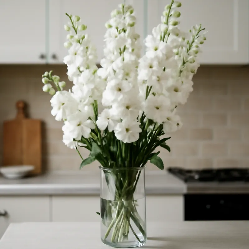 Pied d'alouette – blanc – image 3