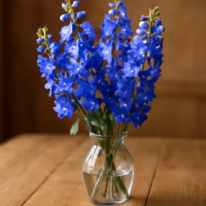 Pied d'alouette – classique – image 3