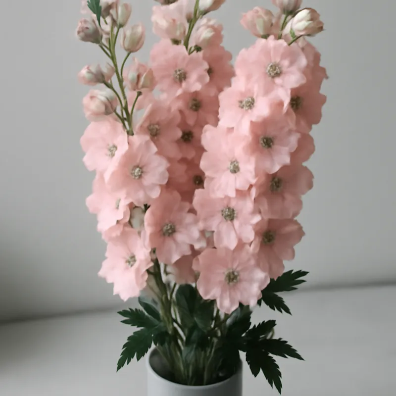 Pied d'alouette – rose – image 3