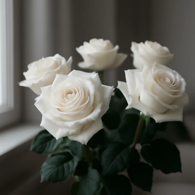 Rose – blanc – image 3